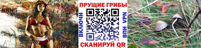 наркота  площадка наркотические препараты  Галлюциногенные грибы прущие грибы  Йошкар-Ола 